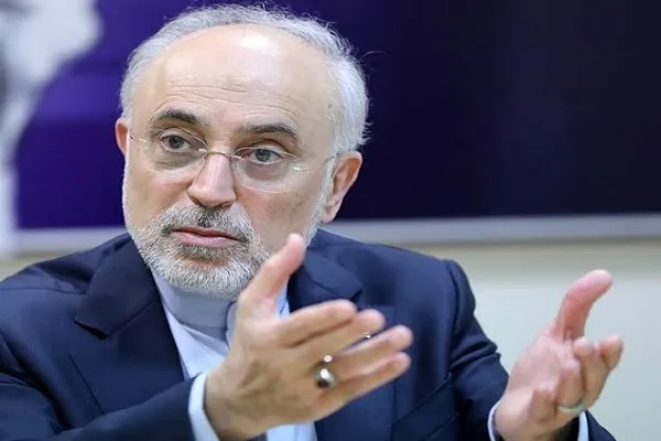 صالحی: ایران با وجود بهای سنگین، پیروزمندانه از بحران کنونی خارج خواهد شد