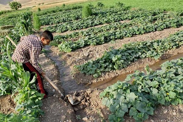 مسدودسازی انحراف ۳۰ درصد آب شرب روستایی در رباط کریم با دستور دادستانی