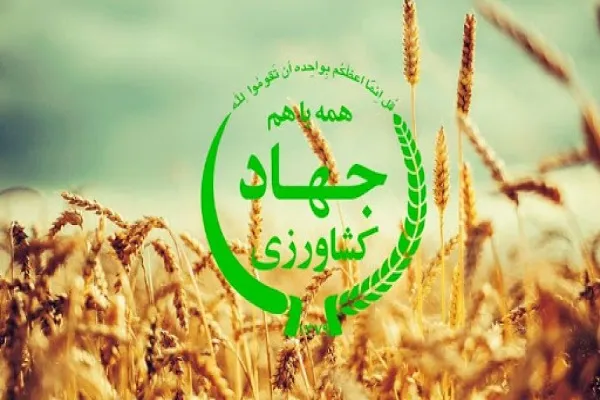 سقف‌گذاری ارزی کالاهای اساسی؛ وقتی دستور به جای بازار تصمیم می‌گیرد