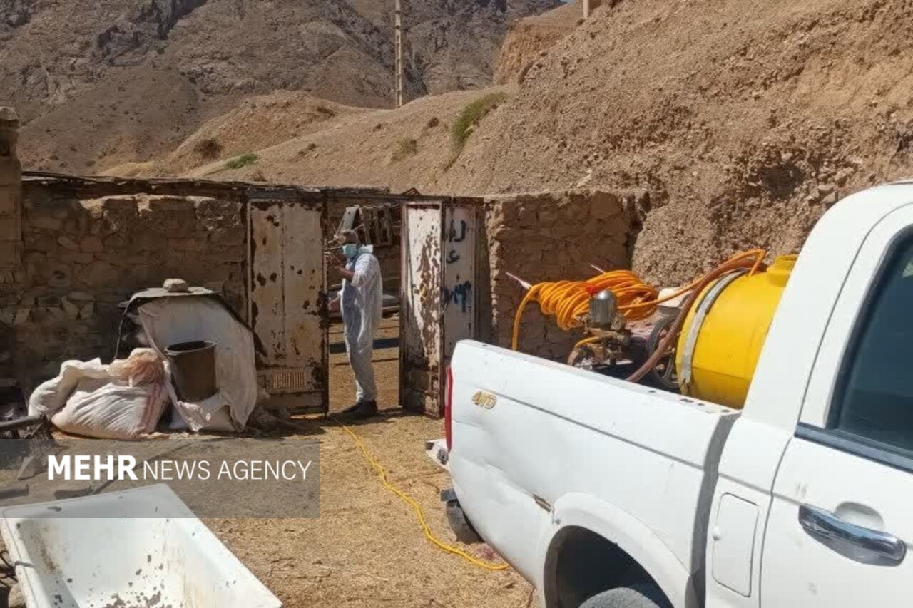مدیرکل دامپزشکی تهران: خدمات پیشگیرانه در مناطق محروم استان ادامه می‌یابد