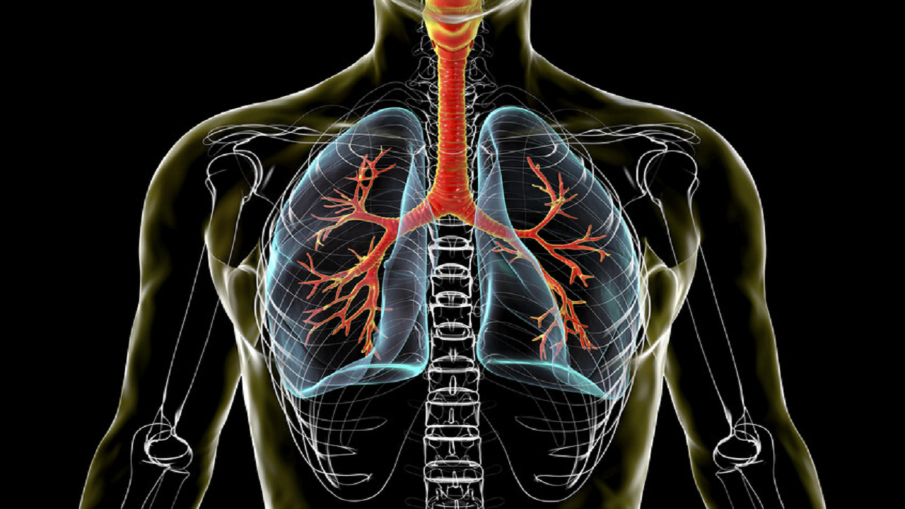 پژوهش جدید: رژیم غذایی سالم عملکرد ریه را بهبود می‌دهد