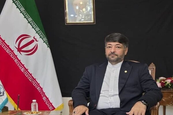 هیئت حقوقی ایران در یازدهمین مجمع بریکس پلاس در دهلی‌نو چه دستاوردهایی کسب کرد؟