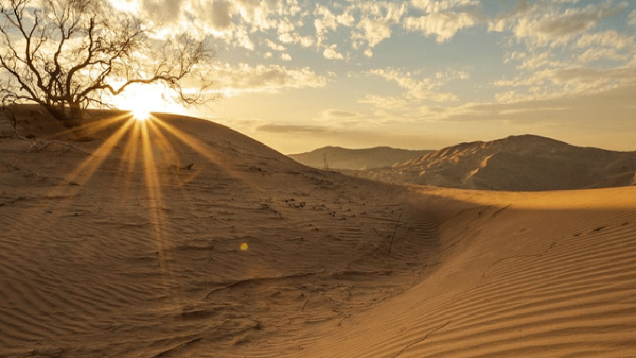 تسبیح بی‌صدای جهان؛ تأملی بر معنای ذکر گفتن ریگ بیابان در سوره تغابن