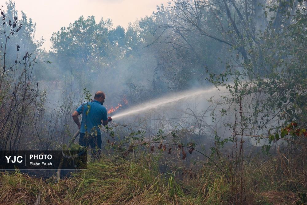 آتش‌سوزی ۲ هکتاری حاشیه جاده لاکان رشت مهار شد