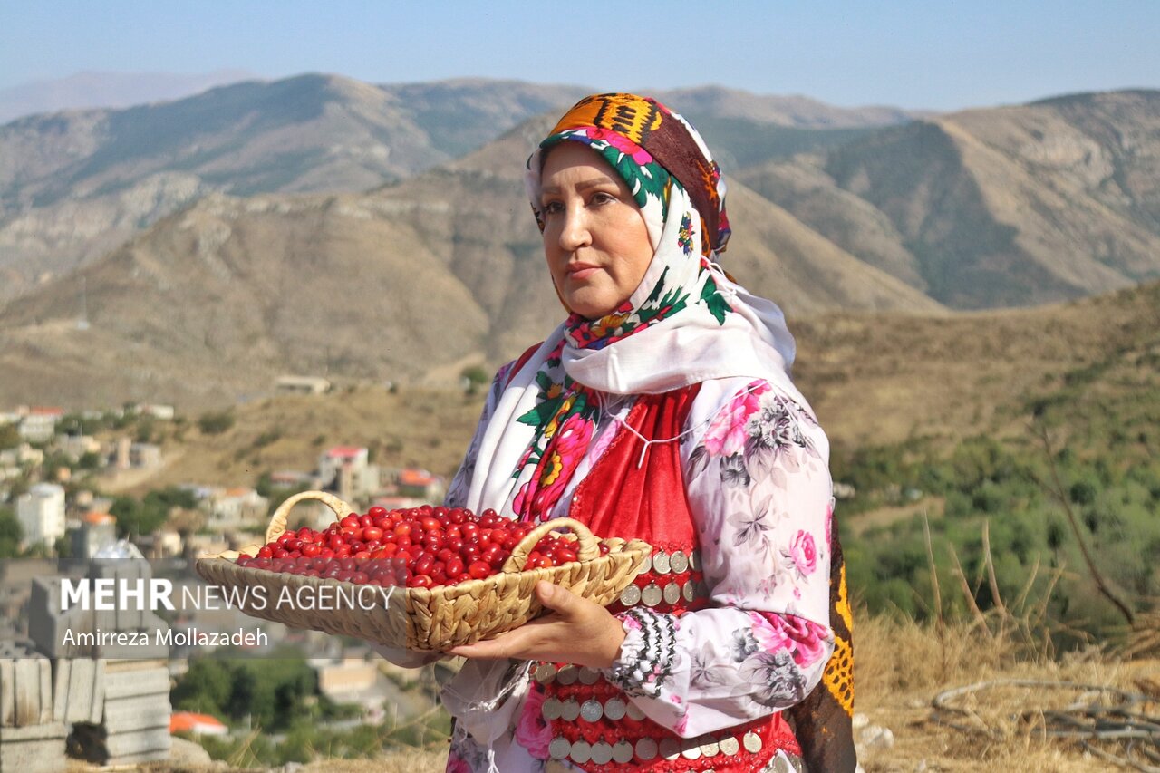 کلیبر میزبان نهمین جشنواره زغال‌اخته شد؛ پیوند کشاورزی، گردشگری و اقتصاد محلی