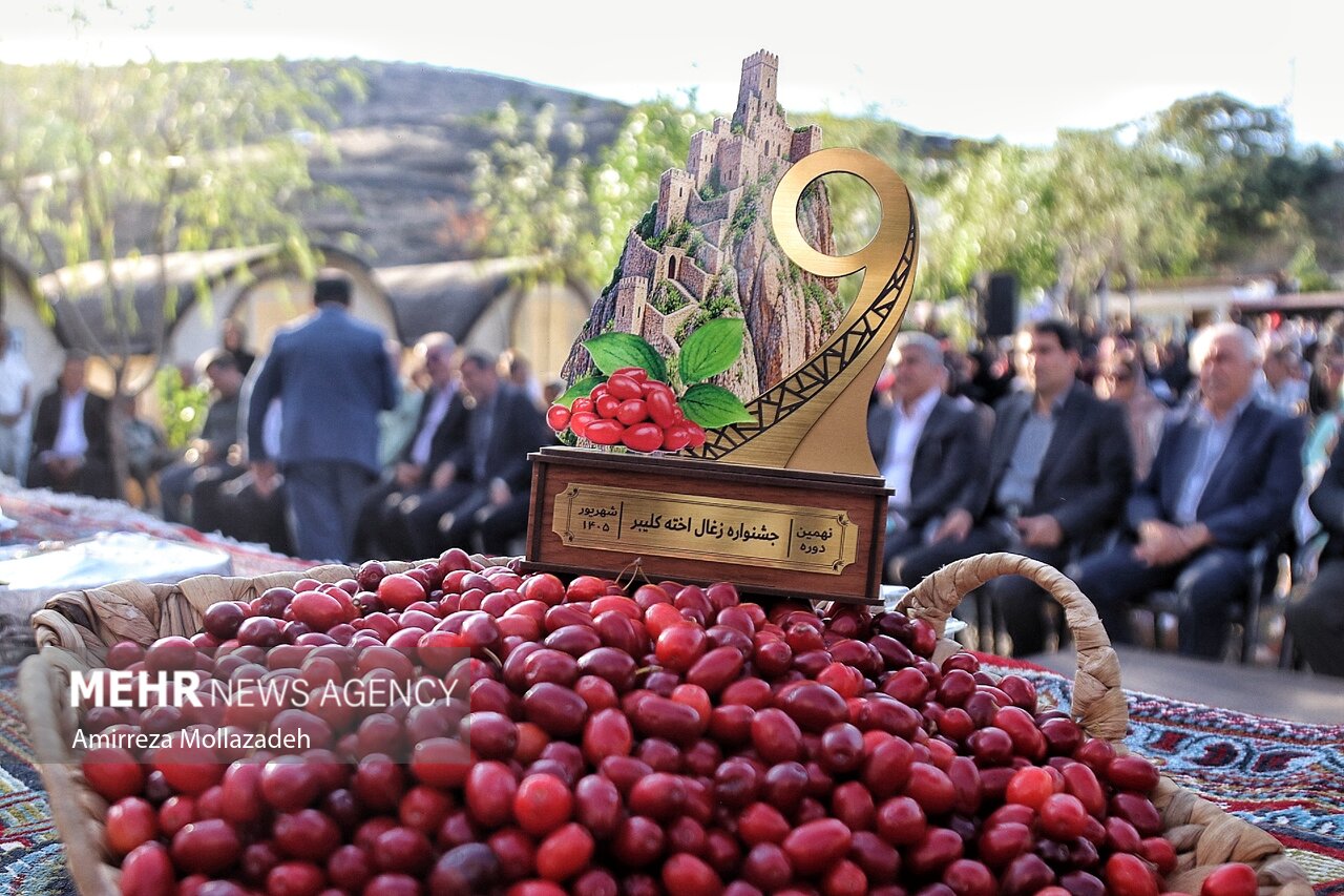 یاقوت سرخ ارسباران به جشن نشست؛ کلیبر میزبان ضیافت برداشت زغال‌اخته