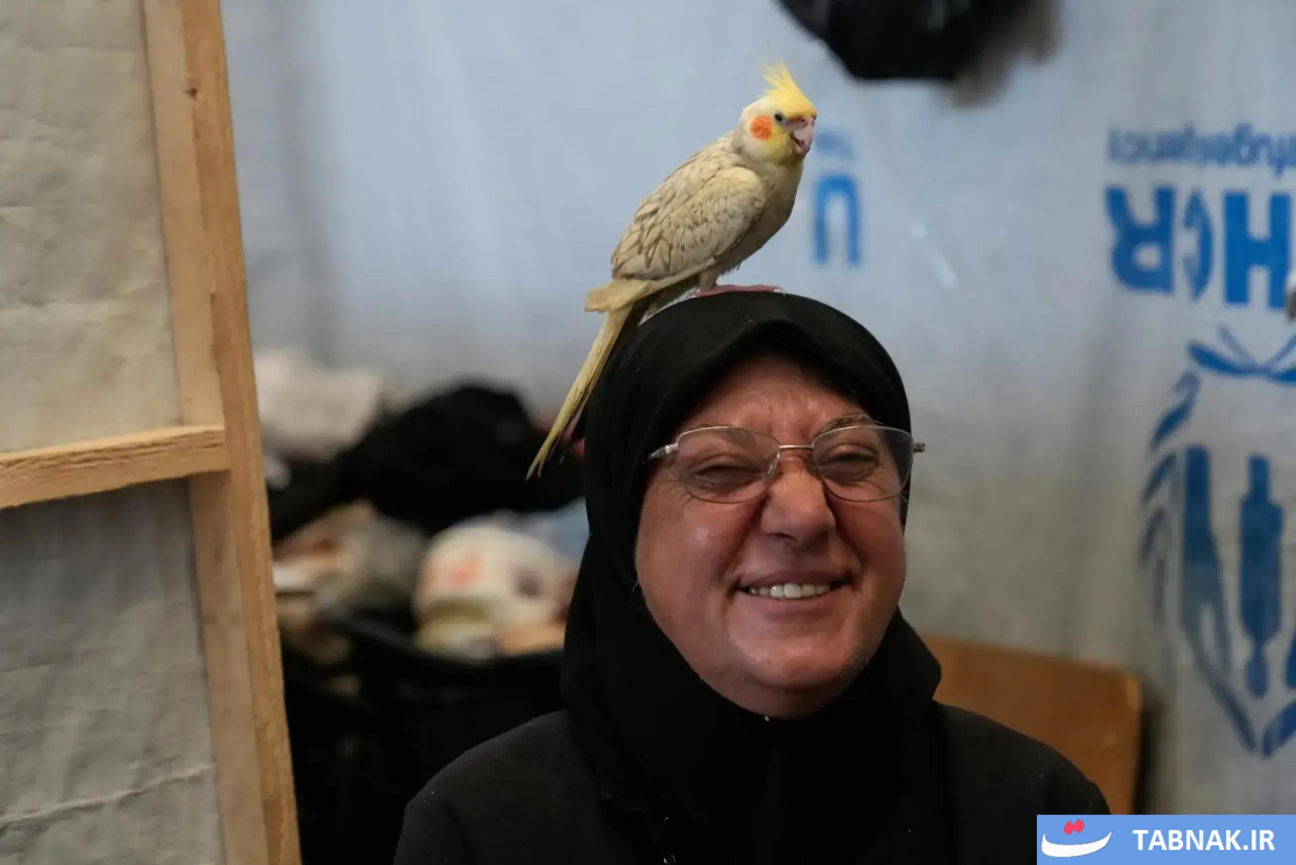 زمین بسکتبال تبدیل شده به پناهگاه آوارگان در شهر صور لبنان