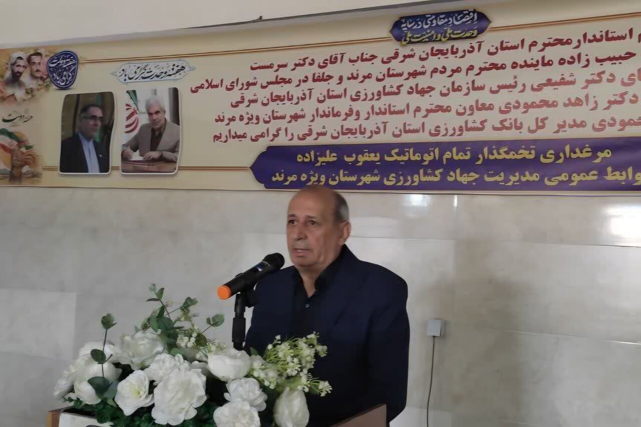 آذربایجان شرقی در جایگاه چهارم تولید تخم‌مرغ کشور؛ مرند پیشتاز استانی شد