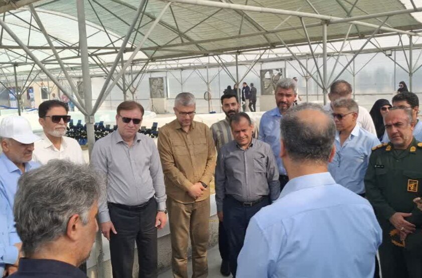 تولید انبوه ابرغذای دریایی در سواحل خلیج فارس آغاز شد؛ سرمایه‌گذاری ۳۱۰ میلیاردی در بوشهر به بار نشست