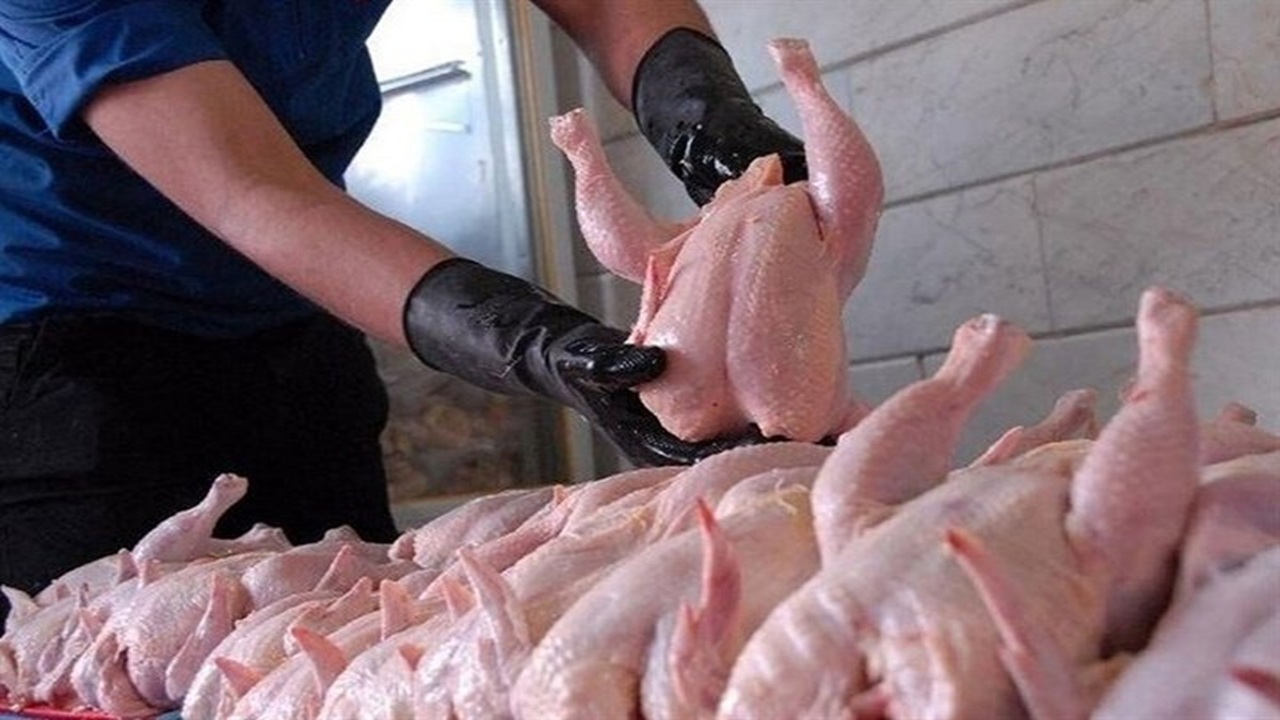 دامپزشکی گلستان شایعه مرغ آلوده را تکذیب کرد؛ گوشت‌های عرضه‌شده سالم است
