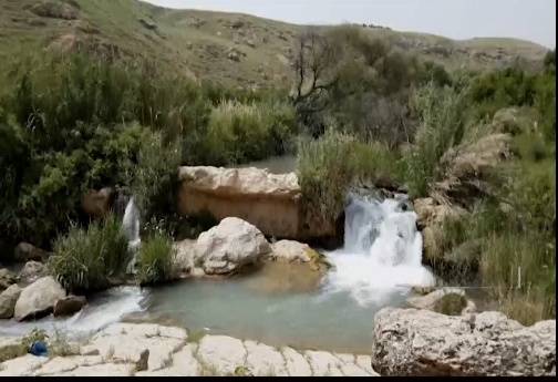 چشمه سیاب کوهدشت در میان باغ‌های انار