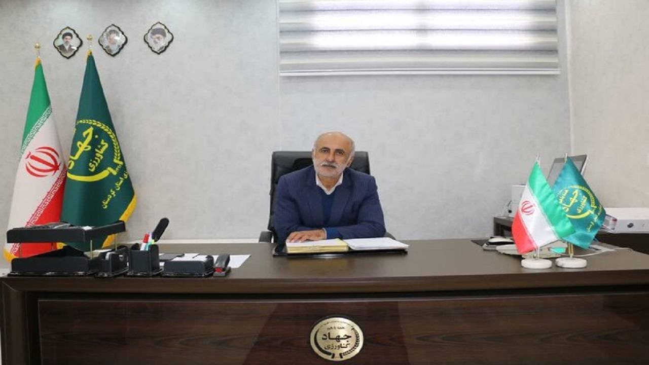 بیجار و دیواندره در صدر؛ گزارش جدید جهاد کشاورزی کردستان از فصل برداشت و خرید تضمینی گندم