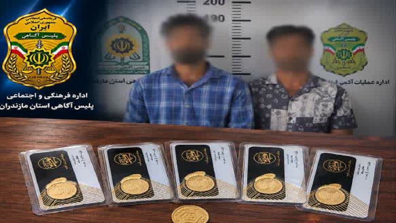 پیشنهاد رشوه سکه‌ای برای پرونده سرقت ۹۰ میلیارد تومانی در مازندران ناکام ماند