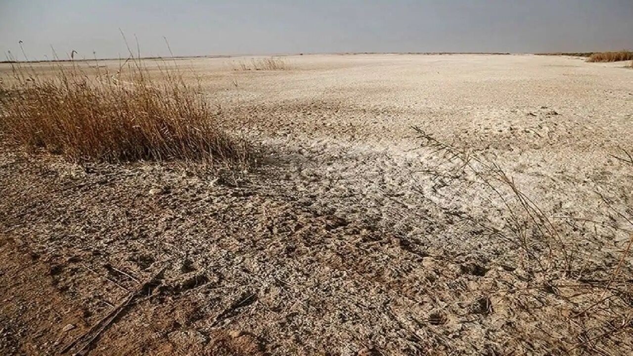 آغاز طرح ملی احیای تالاب الله‌آباد آبیک با انسداد زهکش اصلی