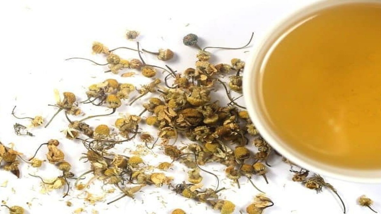 چای زرد کمیاب‌تر از چای سبز و سیاه؛ نوشیدنی طلایی با طعم ملایم و فواید شگفت‌انگیز