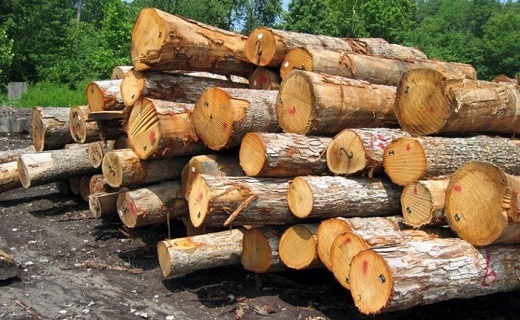 کشف سوخت قاچاق در صومعه سرا