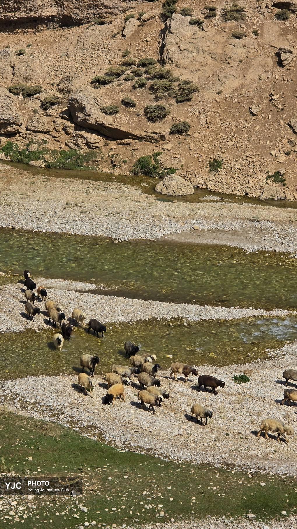 چشم‌انداز ارتفاعات زردکوه بختیاری در کوهرنگ