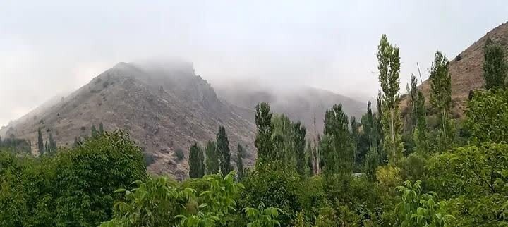 جاده مه‌آلود روستای جیرنده در الموت شرقی قزوین