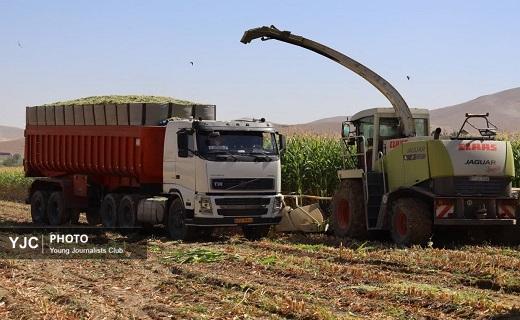 برداشت مکانیزه ذرت در چهارمحال و بختیاری