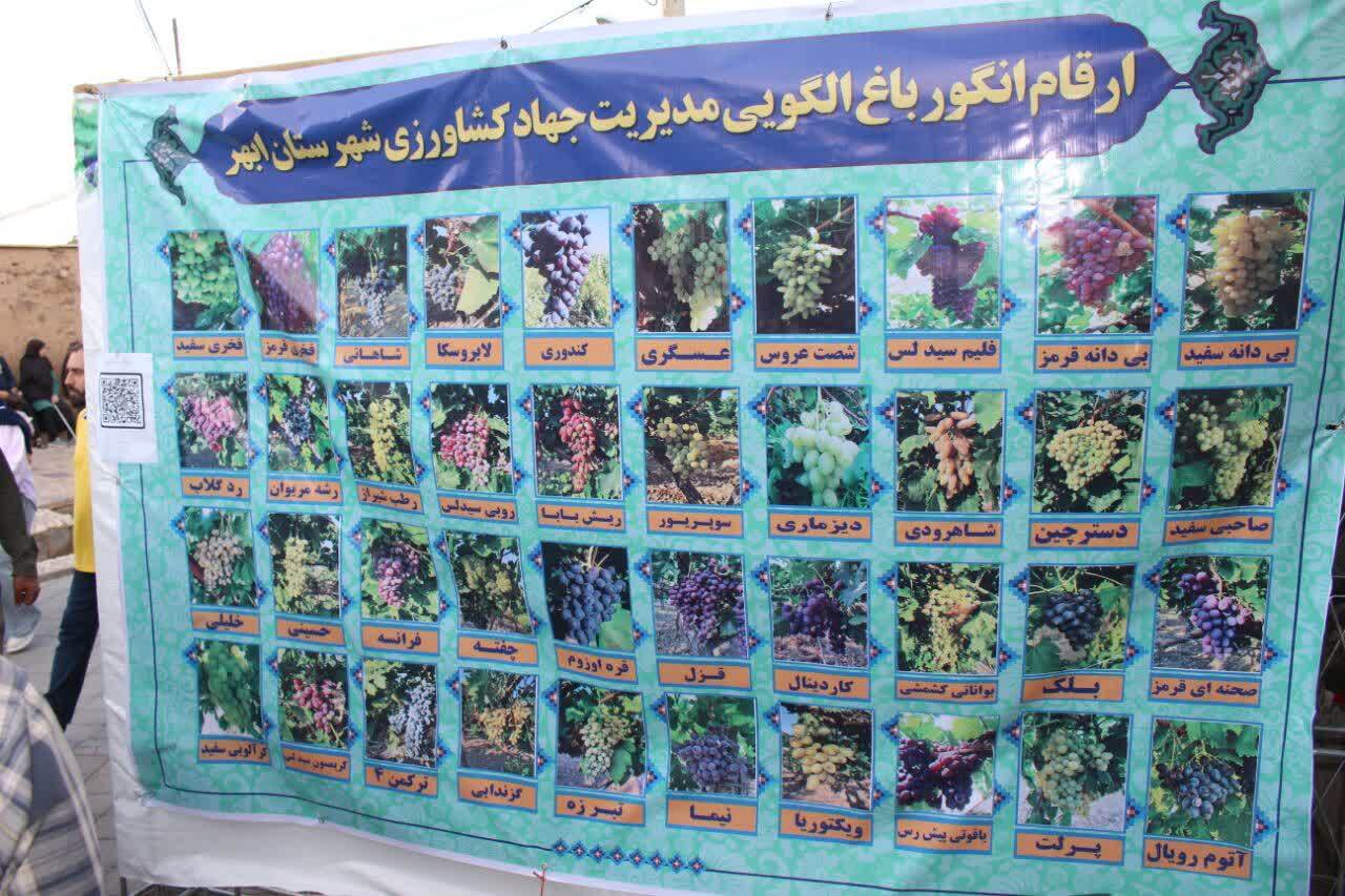 غرفه‌های عرضه انگور و محصولات باغی در جشنواره درسجین