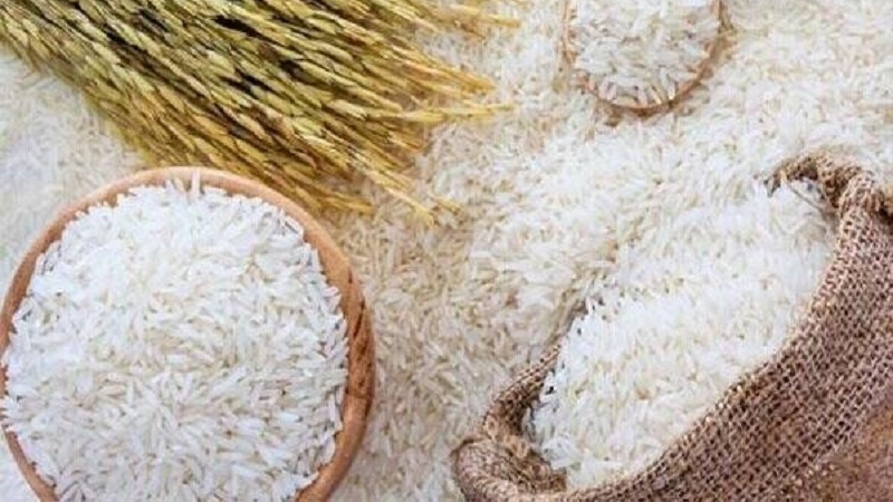 آغاز به کار کانون برنج ایران برای ساماندهی زنجیره تولید تا مصرف
