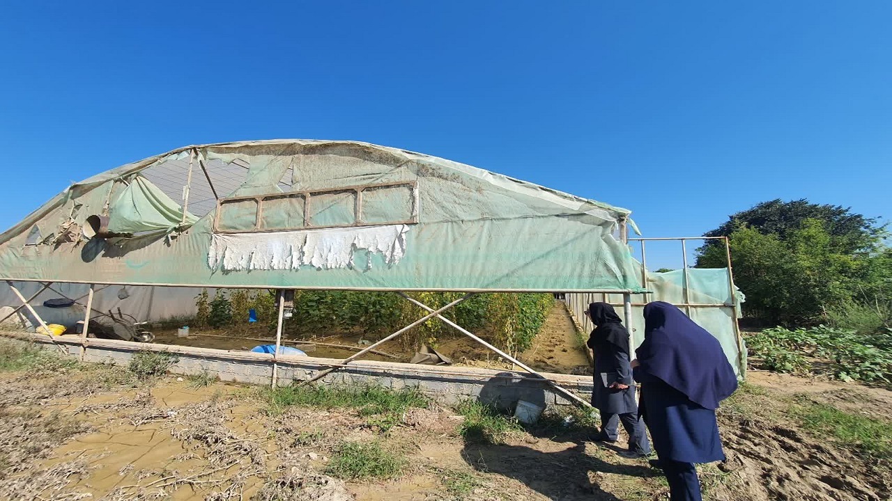 پیگیری خسارت سیل اخیر در مازندران ادامه دارد؛ جهاد کشاورزی: حمایت از بهره‌برداران تا حصول نتیجه
