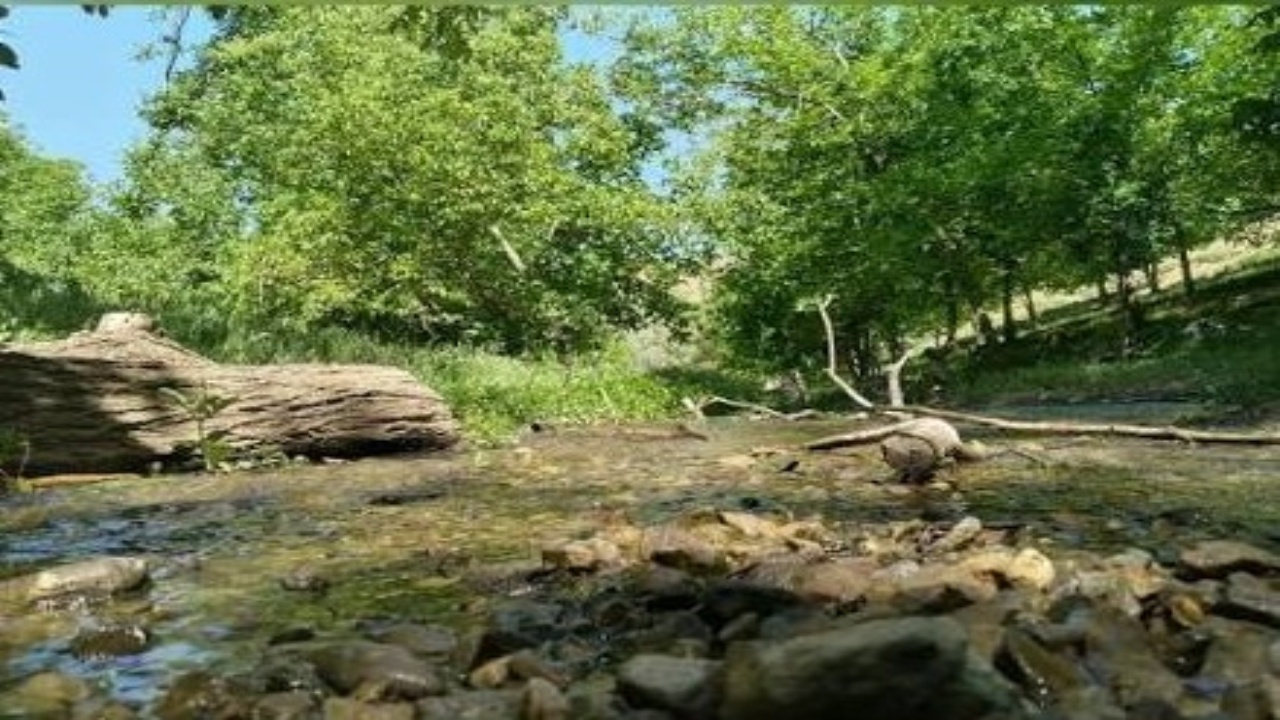 قاب سبز جغدان در پایان تابستان؛ روستایی سرسبز در دل چهارمحال و بختیاری