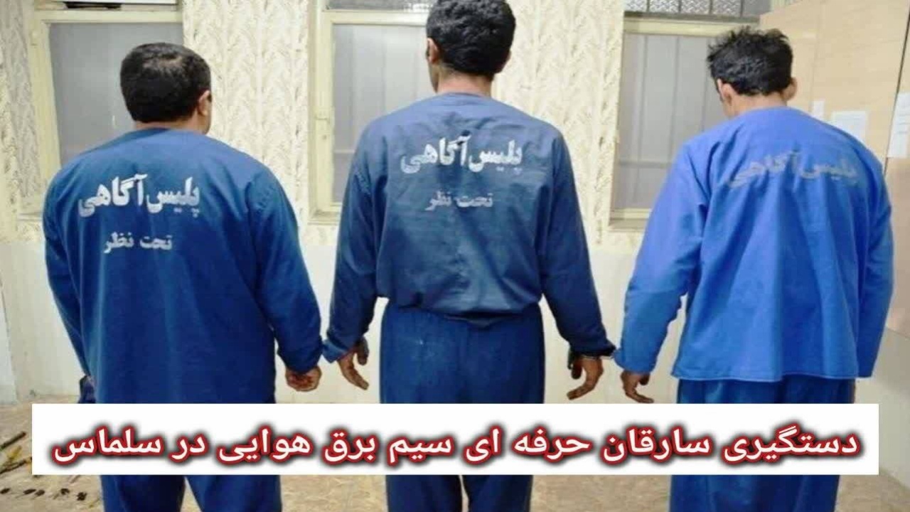 انهدام باند سرقت سیم برق در سلماس؛ سارقان به ۲۵ فقره سرقت اعتراف کردند