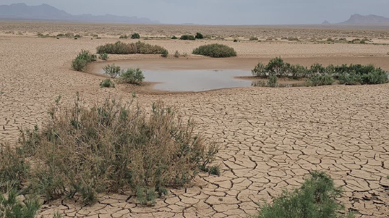 خوزستان برای مهار ریزگردها؛ نزدیک به ۱۲ هزار هکتار از کانون‌های بحرانی به قرارگاه کربلا واگذار شد